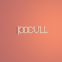 Pocull Reel. Design, Traditional illustration, and Motion Graphics project by David Pocull - 01.12.2014