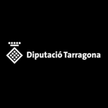 Diputació de Tarragona//web. Un progetto di Pubblicità, Graphic design e Web design di Sofia Espejo - 22.10.2013