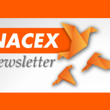 Newsletters Nacex (2012) Ein Projekt aus dem Bereich Design von Alejandra Marín Garibay - 30.04.2012