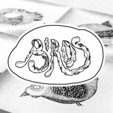 Wasara Birds. Un proyecto de Ilustración tradicional de Rodolfo Biglie - 30.01.2014