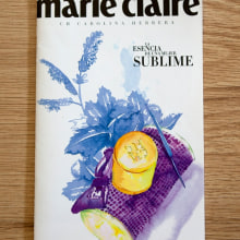 Marie Claire Magazine & Carolina Herrera. Ilustração tradicional projeto de lara costafreda - 17.02.2014