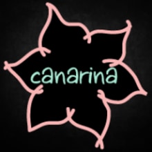 Identidad corporativa Canarina. Br e ing e Identidade projeto de Aurora Del Campo Fernández - 18.02.2014