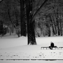 Winter peace. Fotografia projeto de delval - 27.02.2014