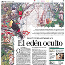 Páginas de periódico. Art Direction, Editorial Design & Information Design project by Alejandro Sosa - 04.30.2004