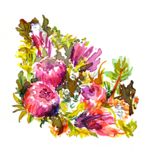 abecedario floral. Un proyecto de Ilustración de Serina Maio - 16.03.2014