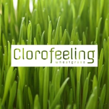 Clorofeeling · La sensación verde. UX / UI, Interactive Design, Web Design, and Web Development project by Miguel Fernández Lama - 01.18.2014
