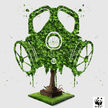 WWF. Advertising project by pandorco - 03.19.2014