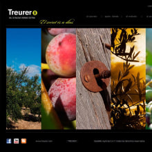 Treurer. Editorial Design, Graphic Design, and Web Design project by Christian Bonet Suñer - 06.14.2012