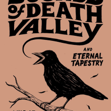 Sounds Of Death Valley - Poster. Traditional illustration, and Graphic Design project by Lorenzo Pierro - 05.05.2014