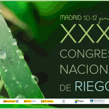 Cartel congreso. Un proyecto de Diseño gráfico de Elisa de la Torre - 12.05.2014