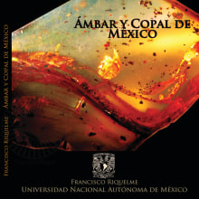 Libro Ámbar y copal de México. Un proyecto de Diseño editorial de Ana Veneno - 30.09.2013