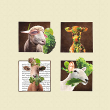 Sheep 2D. Direção de arte, Artes plásticas, e Design gráfico projeto de Alexia Castillo - 20.05.2014