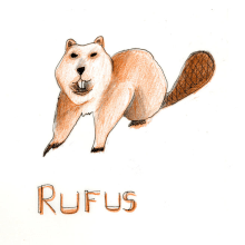Proyecto a dos tintas! Rufus!. Ilustração tradicional projeto de Sandra Arroyo de Lucas - 26.05.2014