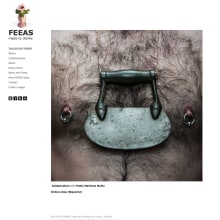FEEAS - Gestor de contenidos para proyecto personal de Remedios Vicent. Design, and Web Design project by Color Vivo Internet - 03.03.2014