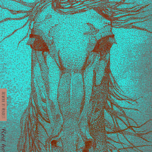 RED HORSE. Artes plásticas projeto de Patricia Mendezt - 28.05.2014