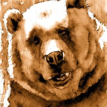 ilustración oso. Un proyecto de Ilustración tradicional de Tom Ba - 02.06.2014