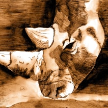 rino. Ilustração tradicional projeto de Tom Ba - 02.06.2014