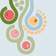 1as Jornada sobre “soberanía alimentaria: luchas en el campo alimentario”. Design project by @infocalber - 06.05.2014