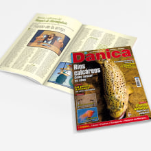 Revista Danica. Design, Editorial Design, Graphic Design, and Product Design project by Victoria Ballesteros Núñez - 06.16.2014