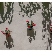 Detalles . Un projet de Photographie de Joan Claramonte - 07.07.2014