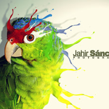 aves. Un proyecto de Diseño, Ilustración tradicional y 3D de Jahir Sánchez - 16.05.2013