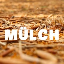 VIDEO/ Mülch. Un proyecto de Cine, vídeo y televisión de Patricio Felip Insua - 07.02.2014