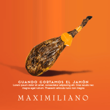 Maximiliano. Un proyecto de Diseño gráfico y Diseño Web de Alberto Mateo Rodríguez - 04.08.2014