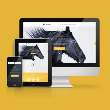 Bucephalus. Web Design project by Fernando Báez - 08.11.2014