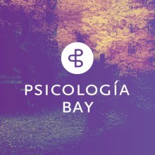 Psicología Bay - Psicología clínica y de la salud.. Een project van  Br e ing en identiteit van Jesús Ferrer Carrión - 14.08.2014