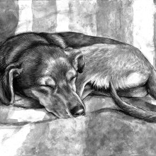 Durmiendo en sofá. Traditional illustration project by Alex Ideo - 08.23.2014
