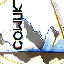 COWUK energy drink. Un proyecto de Ilustración tradicional, Diseño gráfico y Packaging de Lydia Díaz Navarro - 24.08.2014