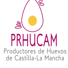 Logotipo PRHUCAM. Un proyecto de Br e ing e Identidad de María Gigante Caraballo - 29.08.2014