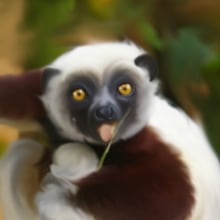 lemur. Artes plásticas, e Design gráfico projeto de papa papa - 02.09.2014