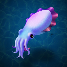 Cuttlefish. Projekt z dziedziny Trad, c, jna ilustracja i Projektowanie graficzne użytkownika Cristián Soto Lagos - 15.09.2014