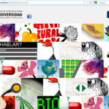 Ana - Biodiversidad. Advertising, and Web Development project by Almudena Porras - 10.01.2012
