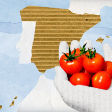 Alimentos españoles para la exportación.. Un proyecto de Ilustración tradicional, Dirección de arte y Diseño gráfico de Gonzalo Cordero de Ciria - 13.10.2014