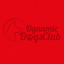 Dynamic Dogs Club. Br, ing, Identit, Marketing, and Web Design project by Borja Cabeza Cabello - 01.22.2014