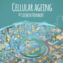 Cellular Ageing animation. Un proyecto de Motion Graphics y 3D de David Garcia Torrico - 02.11.2014