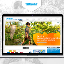 Content Management Wrigley Spain. Web Development project by Irene Creative Code - 11.07.2014