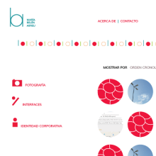 BA - Sitio web (Ampliación y correcciones). Br, ing e Identidade, Design interativo, e Web Design projeto de bell_adz - 16.11.2014