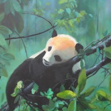 Oso panda. Fine Arts project by Chema Paz Bernó - 03.09.2011