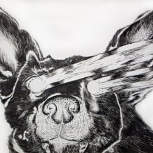 Perro láser. Ilustração tradicional projeto de Franco Villela - 29.11.2014
