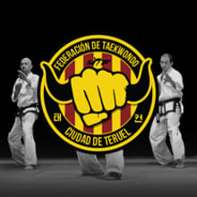 Federación de Taekwondo, Teruel. Br, ing & Identit project by Vicente Yuste - 12.21.2014