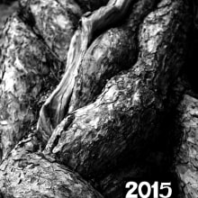 Calendario 2015. Un proyecto de Fotografía de Juan Mari Zurutuza - 26.12.2014