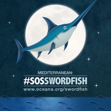 Oceana: #SOSswordfish. Traditional illustration, Br, ing & Identit project by Alessandro Donelli - 10.31.2014