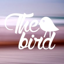 The bird. Fotografia projeto de beta - 21.01.2015