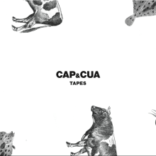 Cap i Cua. Design, and Graphic Design project by Nati Morales tosar - 01.31.2015