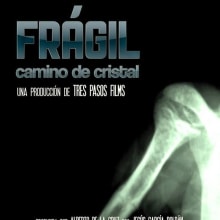 BSO - Frágil, camino de cristal.. Un proyecto de Música, Cine, vídeo y televisión de Jesús GARCÍA ROLDÁN - 13.04.2013