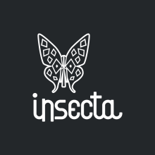 Insecta (Libro-Desplegable). Design, Art Direction, Br, ing, Identit, Editorial Design, Graphic Design, and Packaging project by Hernán Hierro Sacristán - 02.05.2015