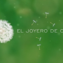 Video Presentación "El Joyero de Carmen". Motion Graphics, Film, Video, TV, Animation, Graphic Design, Photograph, and Post-production project by Maria Dapoza Carrera - 02.09.2015